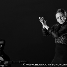 Flamenco Chiasso - Irene La Sentio-118.jpg