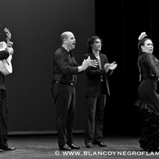 Flamenco Chiasso - Irene La Sentio-129.jpg