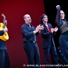 Flamenco Chiasso - Irene La Sentio-130.jpg