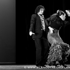 Flamenco Chiasso - Irene La Sentio-14.jpg