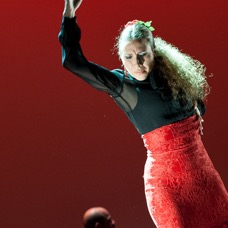 Flamenco Chiasso - Irene La Sentio-2.jpg