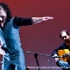 Flamenco Chiasso - Irene La Sentio-36.jpg