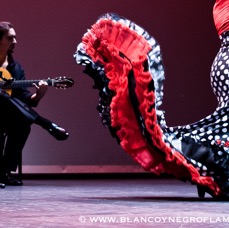Flamenco Chiasso - Irene La Sentio-51.jpg