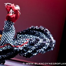 Flamenco Chiasso - Irene La Sentio-58.jpg