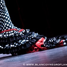 Flamenco Chiasso - Irene La Sentio-64.jpg