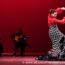 Flamenco Chiasso - Irene La Sentio-66.jpg