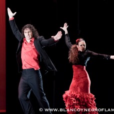 Flamenco Chiasso - Irene La Sentio-7.jpg