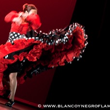 Flamenco Chiasso - Irene La Sentio-71.jpg