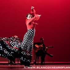 Flamenco Chiasso - Irene La Sentio-79.jpg