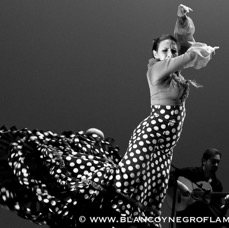 Flamenco Chiasso - Irene La Sentio-80.jpg
