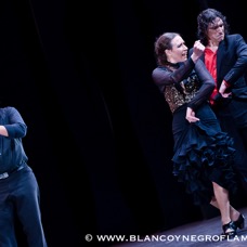 Flamenco Chiasso - Irene La Sentio-133.jpg