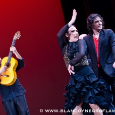 Flamenco Chiasso - Irene La Sentio-135.jpg