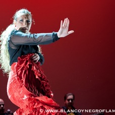 Flamenco Chiasso - Irene La Sentio-3.jpg