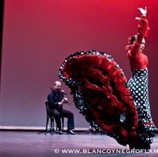 Flamenco Chiasso - Irene La Sentio-48.jpg
