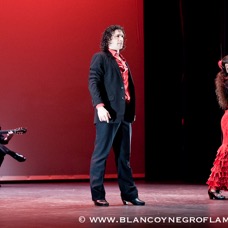 Flamenco Chiasso - Irene La Sentio-5.jpg