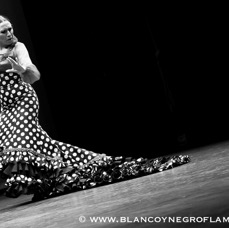 Flamenco Chiasso - Irene La Sentio-53.jpg
