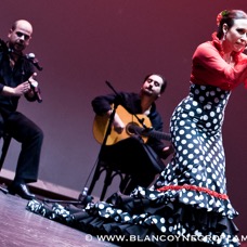 Flamenco Chiasso - Irene La Sentio-54.jpg