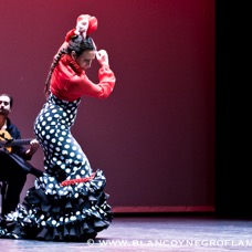 Flamenco Chiasso - Irene La Sentio-55.jpg
