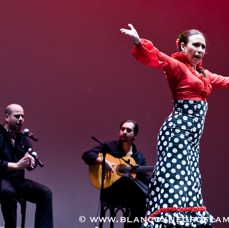 Flamenco Chiasso - Irene La Sentio-57.jpg