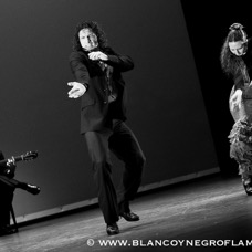 Flamenco Chiasso - Irene La Sentio-6.jpg