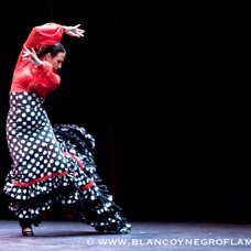 Flamenco Chiasso - Irene La Sentio-61.jpg