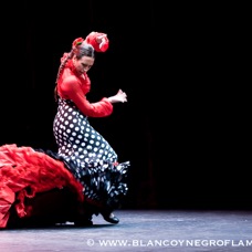 Flamenco Chiasso - Irene La Sentio-62.jpg