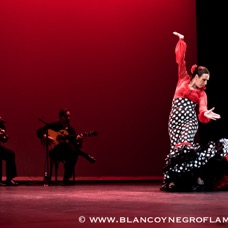 Flamenco Chiasso - Irene La Sentio-67.jpg
