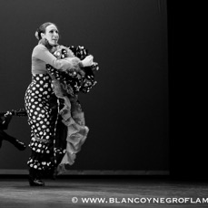 Flamenco Chiasso - Irene La Sentio-68.jpg
