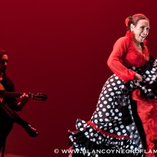 Flamenco Chiasso - Irene La Sentio-70.jpg
