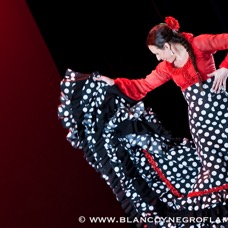 Flamenco Chiasso - Irene La Sentio-72.jpg