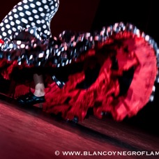 Flamenco Chiasso - Irene La Sentio-74.jpg