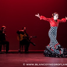 Flamenco Chiasso - Irene La Sentio-75.jpg