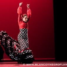 Flamenco Chiasso - Irene La Sentio-76.jpg