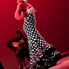 Flamenco Chiasso - Irene La Sentio-78.jpg