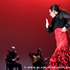 Flamenco Chiasso - Irene La Sentio-8.jpg