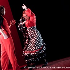 Flamenco Chiasso - Irene La Sentio-81.jpg