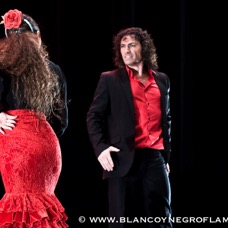 Flamenco Chiasso - Irene La Sentio-9.jpg