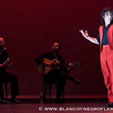 Flamenco Chiasso - Irene La Sentio-94.jpg