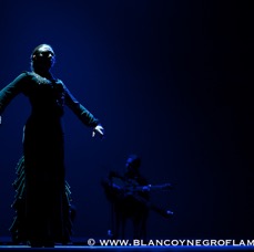 Flamenco Chiasso - Irene La Sentio-96.jpg